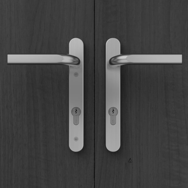 IM10010 Image Multipoint Door Handle, 220mm Long Plate, Unsprung