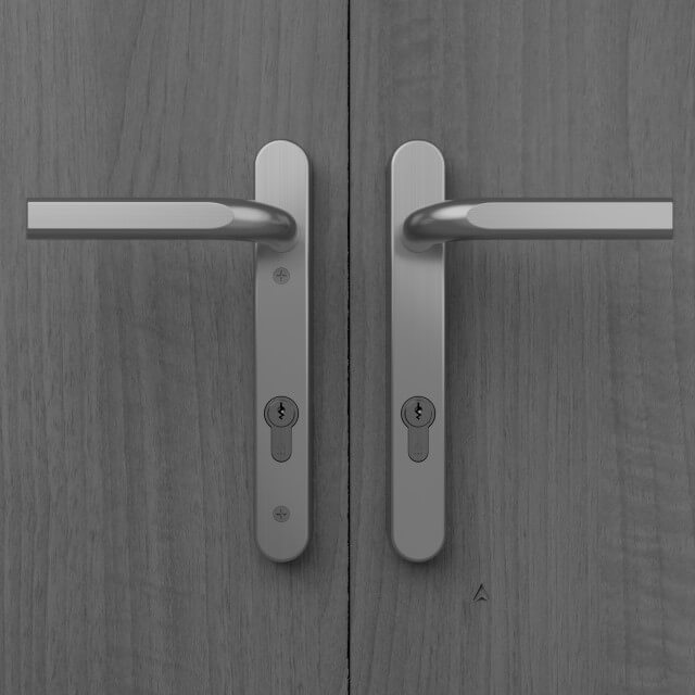 IM10010 Image Multipoint Door Handle, 220mm Long Plate, Unsprung