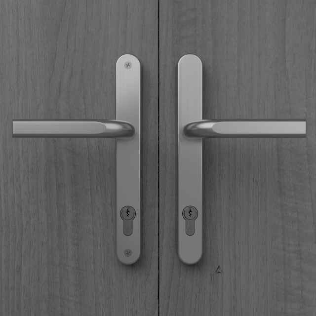 Image Multipoint Door Handle, 242mm Long Plate, Sprung