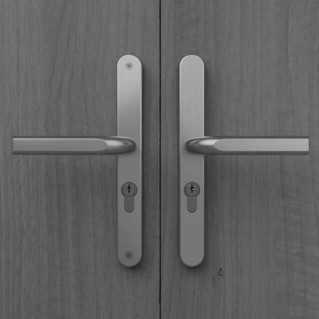 48PZ Image Multipoint Door Handle, 242mm Long Plate, Sprung