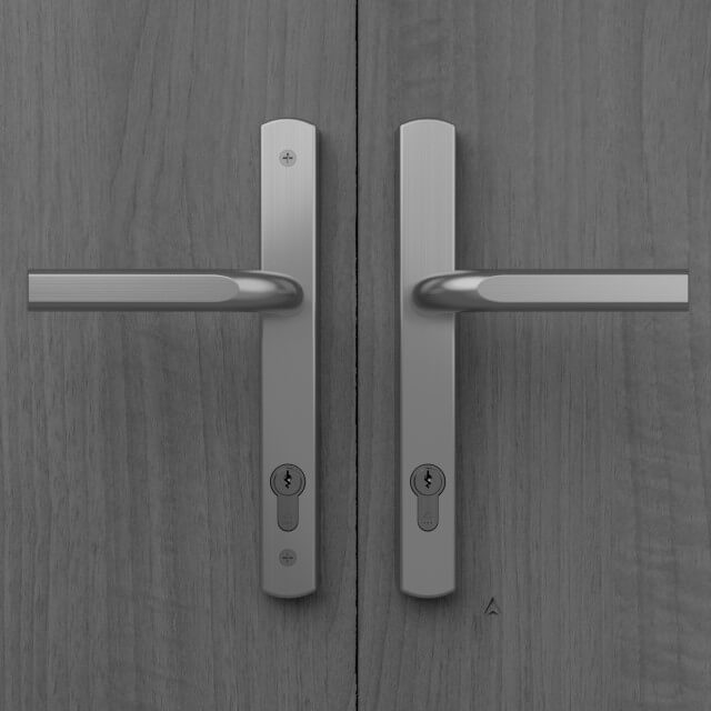 IM18010 92PZ Image Multipoint Door Handle, 245mm Long Plate, Sprung