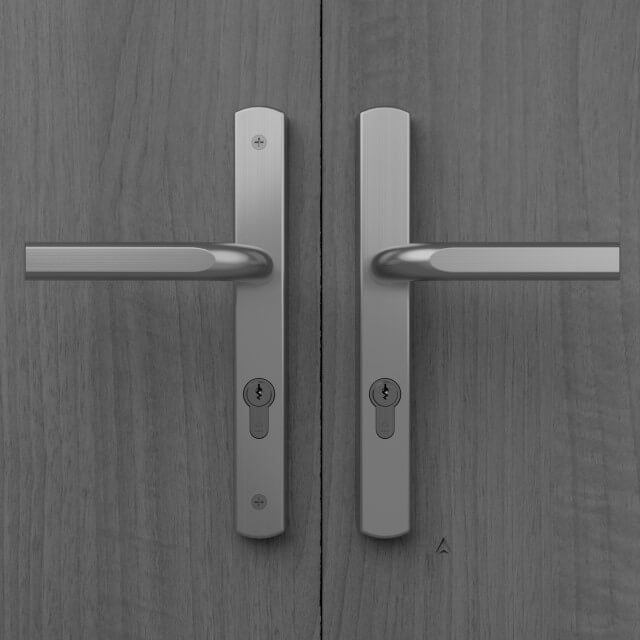 IM18110 70PZ Image Multipoint Door Handle, 245mm Long Plate, Sprung